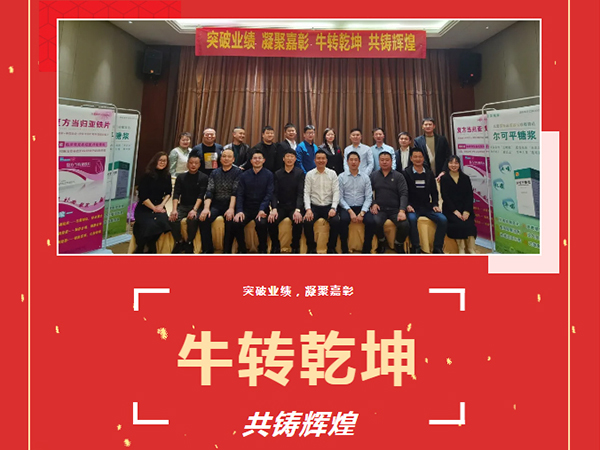 突破业绩（jì）、凝聚嘉彰、牛转乾（qián）坤、共铸辉煌